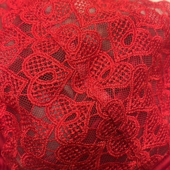 NWT Victoria’s Secret Hearts Lace Red Sheer Bra 34DD - Picture 4 of 7